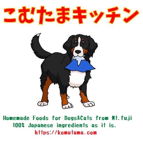 こむたまキッチン